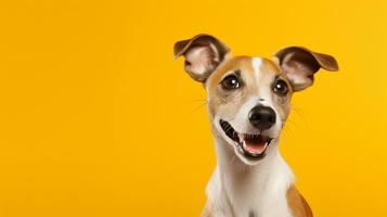 contento cane, isolato giallo sfondo con copia spazio. generativo ai foto