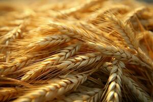 dettagliato tiro cattura il bene struttura di un' Grano mucchio ai generato foto