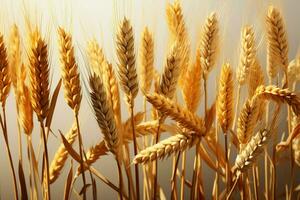 un' naturale medley di avena, Grano, segale, orzo spighette e steli ai generato foto