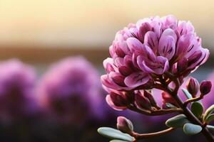 botanico fascino arctostafilo uva ursi fiore grazia un' giardino con copia spazio ai generato foto