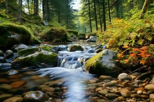 nature abilità artistica vicino su di un' foresta ruscello con autunno tonalità ai generato foto