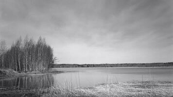 finlandese lago con betulla alberi foto