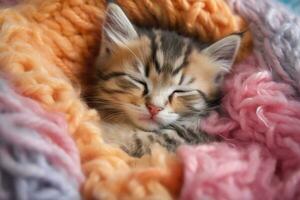 serenità nel pelliccia - un' avvicinamento di un' addormentato gattino - ai generato foto
