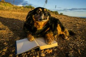 un' cane posa su il terra con un Aperto libro foto