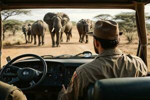 elefante sfondo, elefante HD ,elefante immagini Scarica ai generato foto