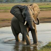 elefante sfondo, elefante HD ,elefante immagini Scarica ai generato foto