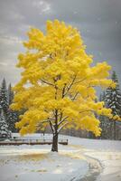 alberi sfondo scarica ,ai generato foto