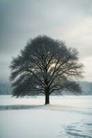 alberi sfondo scarica ,ai generato foto