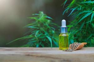 semi di cannabis ed estratto di cannabis olio cbd, sfondo verde foglia di canapa, concetto di cannabis medica. foto