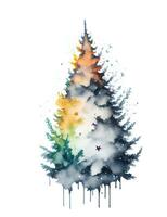acquerello pittura di un' Natale albero. foto