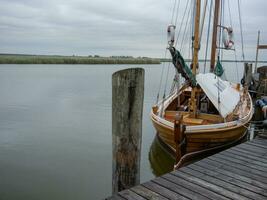 zingst isola nel Germania foto