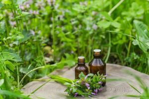 Due farmaceutico medicina bottiglie a partire dal timo volgare, Comune timo, Tedesco, giardino o appena timo su un' di legno tavolo. preparazione di medicinale impianti. pronto pozione di erba. foto