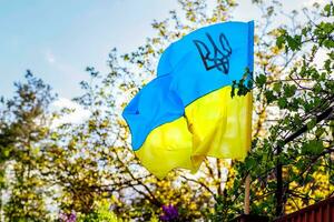 il bandiera di Ucraina nel il raggi di il ambientazione sole contro il sfondo di alberi. gratuito Ucraina. pace nel il nazione. Ucraina senza guerra. foto