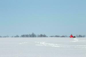 Due sagome di bambini nel blu e rosso tuta da lavoro contro un' chiaro blu cielo. persone su il orizzonte. il bambini andato in il distanza su chiaro bianca neve. .morbido messa a fuoco. blured. film grano sfocato foto