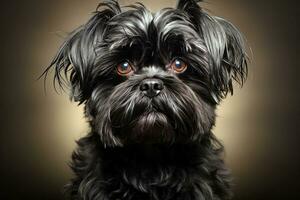 affenpinscher cagnetto su pendenza sfondo. ai generativo arte foto