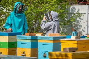 papà e figlio su il apiario. famiglia agroalimentare. ragazzo record video come padre lavori vicino orticaria. in linea formazione scolastica nel apicoltura e fecondazione di Regina ape. foto