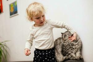 bambino giochi con sua gatto a casa. comunicazione di vecchio animali e bambini. bimbo tormenti animale. foto