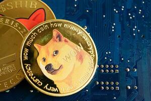 dogecoin su circuito scheda principale computer per attività commerciale e commerciale, digitale moneta, virtuale criptovaluta. foto