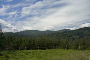 scenario di natura foto