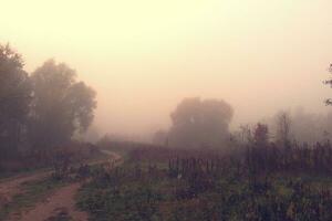 autunno nebbioso paesaggio con alberi e pastello occhiali da sole foto