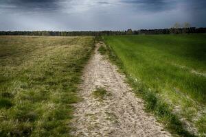 sporco strada attraverso un' prato principale per il foresta su il orizzonte e un' buio piovoso cielo nel il estate foto