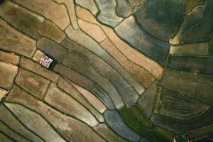 paesaggio risaia in asia, vista aerea delle risaie foto