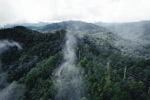 strada nella foresta stagione delle piogge natura alberi e viaggio nella nebbia foto