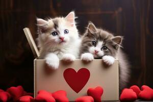 Due nero e bianca soffice gattini nel un' scatola con rosso cuori su un' nero sfondo, Due nero e bianca gattini nel un' cartone scatola con rosso cuori, ai generato foto