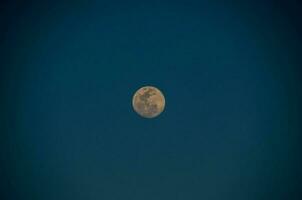il Luna è visto nel il blu cielo foto