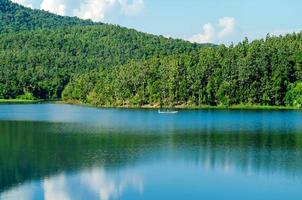 paesaggio della diga e del lago sulla montagna con alberi e foreste. foto