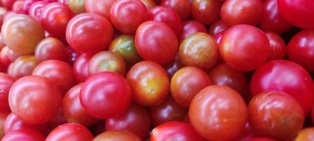 pomodori dire bugie su un' mucchio su superiore di ogni Altro, pomodoro struttura. foto