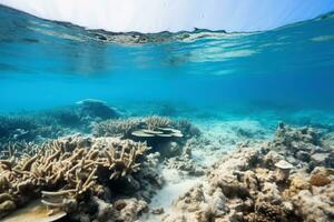 un quasi morto corallo scogliera sotto acqua.ai generativo foto