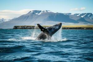 un' grande balena salto metà su di il acqua.ai generativo foto