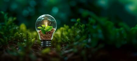 eco amichevole lampadina a partire dal fresco le foglie superiore Visualizza, concetto di rinnovabile energia e sostenibile vita. generativo ai foto