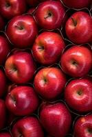 rosso mele in attesa per essere raccolto striato resina vene. ai generato foto