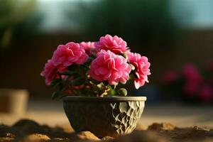 deserto rosa in vaso pianta fioritura. creare ai foto