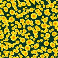 giallo margherita fiori sfondo. fiore sfondo sfondo design. ai generato immagini foto