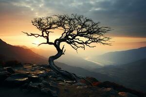 solitario albero nel il mezzo di un' nebbioso montagna paesaggio ai generativo foto