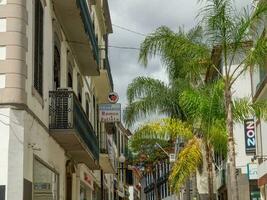 primavera tempo nel funchal Madera foto