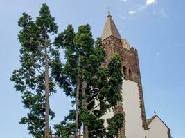 primavera tempo nel funchal Madera foto