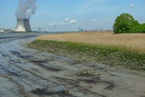 il isola o spiekeroog foto