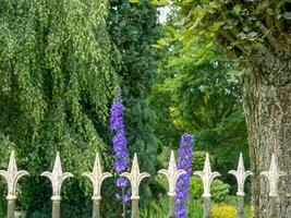 estate tiem nel il giardino foto