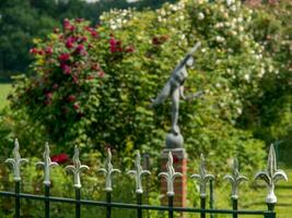 estate tiem nel il giardino foto