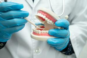 dentiera, dentista Tenere dentale denti modello per studia e trattare nel Ospedale. foto