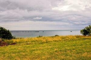 un' solitario albero sta nel il erba su un' collina prospiciente il oceano foto