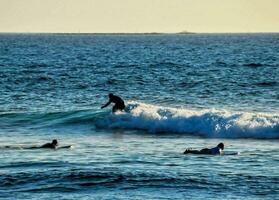 surfers nel il acqua a tramonto foto