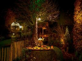 Natale tempo nel il giardino foto