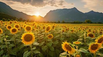 un' paesaggio di girasoli fioritura nel un' girasole campo illuminato di luce del sole, luminosa cielo e montagne nel il sfondo. generativo ai foto