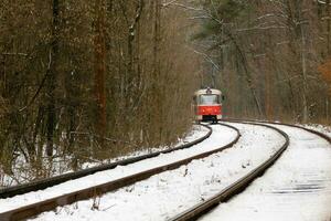 affrettandosi tram attraverso il inverno foresta foto