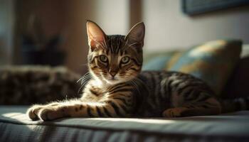 carino domestico gatto, giocoso e soffice, riposo su confortevole letto generato di ai foto